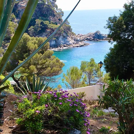 A 100m De La Playa