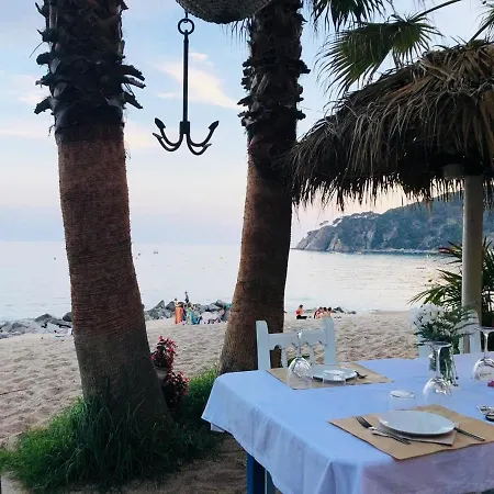 A 100m De La Playa Apartment